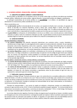 Resumen IDLT tema 4.pdf