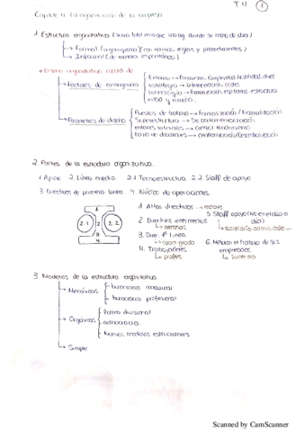 tema-4-fundamentos.pdf