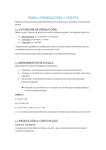 Apuntes-tema-1-produccion-y-costes.pdf