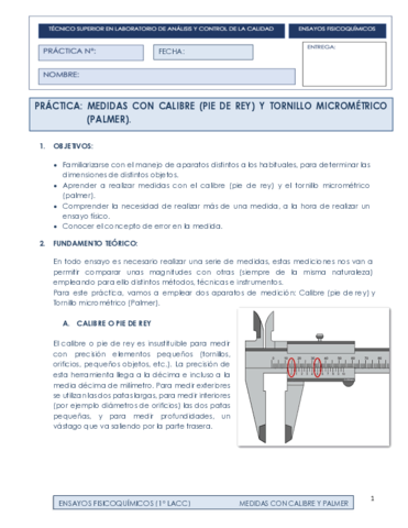 MEDIDAS-CON-PIE-DE-REY-Y-PALMER-1o-LACC.pdf