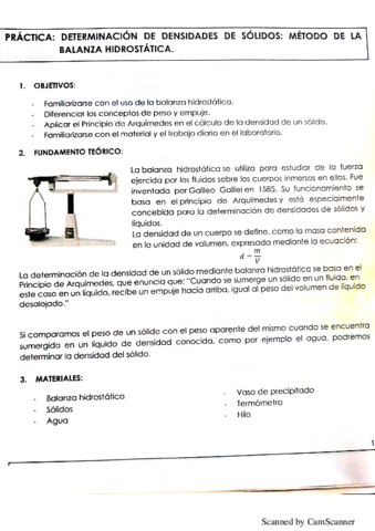 balanza-hidrostatica-solidos.pdf