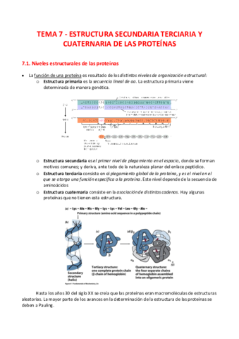 TEMA-7-Estructuras-proteinas.pdf