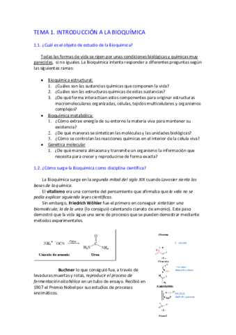 TEMA-1-Introduccion.pdf