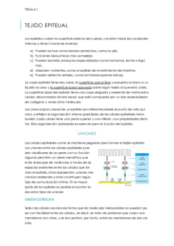 TEMA-TEJIDO-EPITELIAL-6.pdf