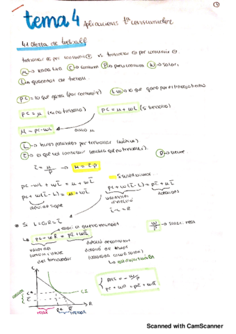 TEMA-4-micro-I20191128212837.pdf
