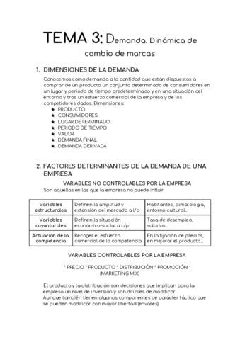TEMA-3-Demanda.pdf