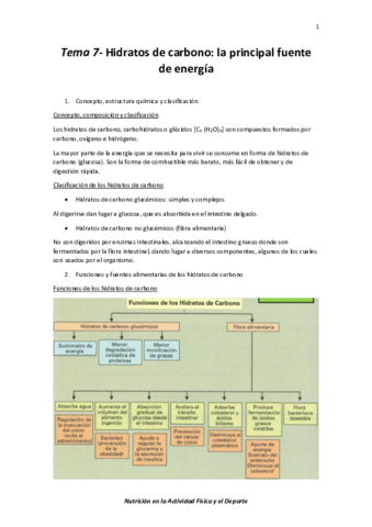 Tema-7-Hidratos-de-carbono-la-principal-fuente-de-energia.pdf