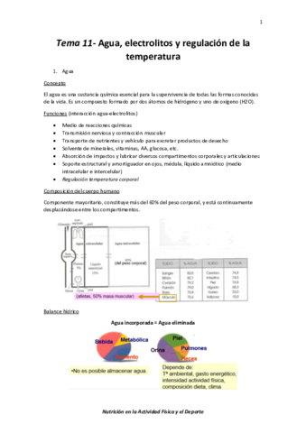 Tema-11-Agua-electrolitos-y-regulacion-de-la-temperatura.pdf