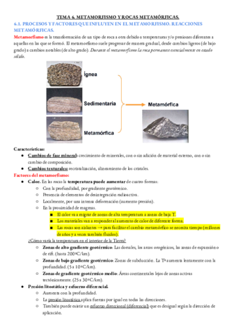 GEOLOGIA-TEMA-6.pdf