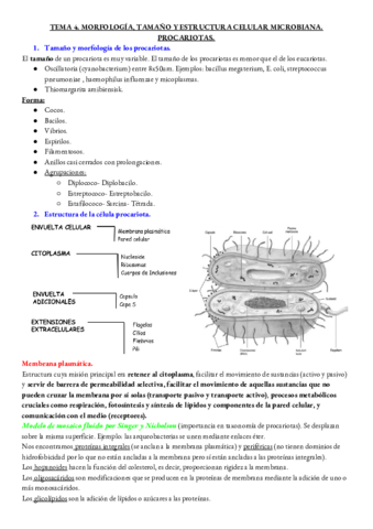 micro-tema-4.pdf