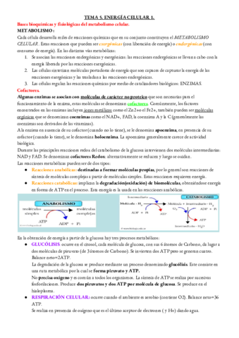 BIOLOGIA-TEMA-5.pdf