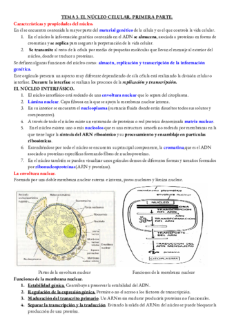 BIOLOGIA-TEMA-3-PARTE-1-.pdf