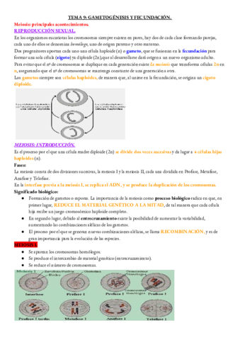 BIOLOGIA-TEMA-9.pdf