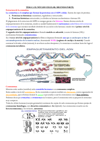 BIOLOGIA-TEMA-3-PARTE-2-.pdf
