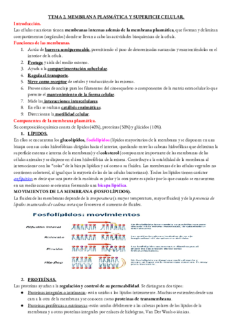 BIOLOGIA-TEMA-2-.pdf