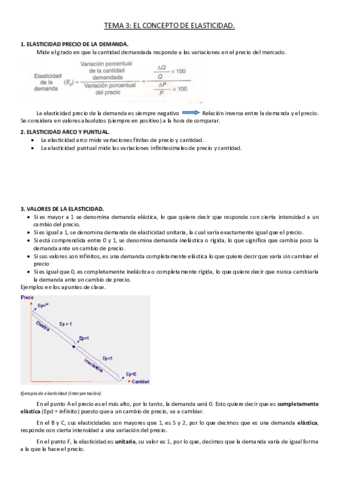 TEMA 3 y 4MICRO.pdf