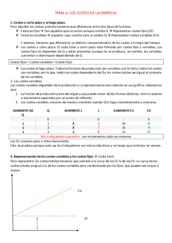 TEMA 6 resumen micro.pdf