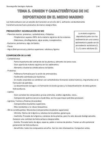 OGAtema5Hidrocarburos.pdf