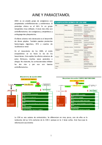 AINE-Y-PARACETAMOL.pdf