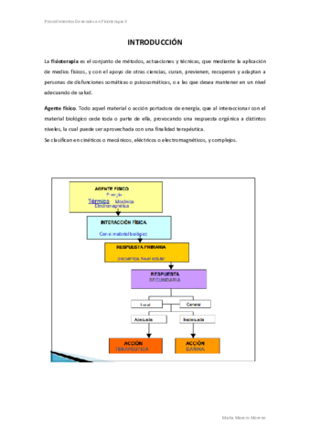 PGII-apuntes-Silvia.pdf