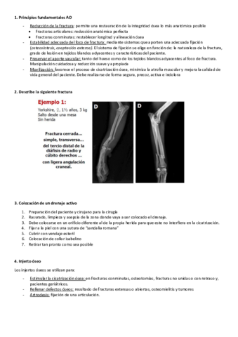 Preguntas-Resueltas.pdf