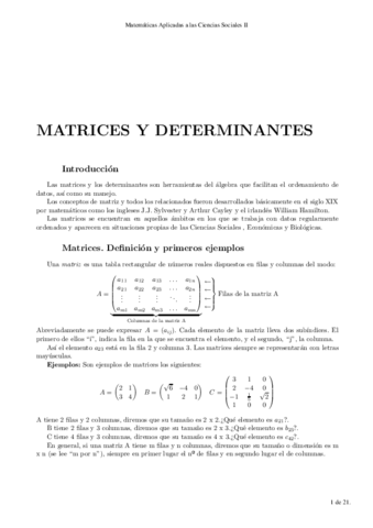 Tema-matrices-adicional.pdf