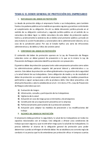TEMA-6-DE-PREVENCION.pdf