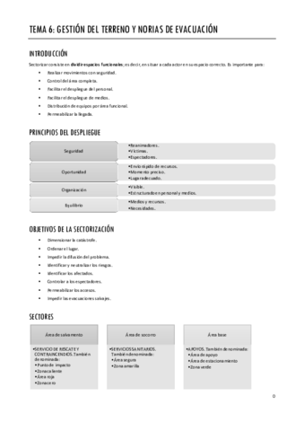 AMV-TEMA-6.pdf