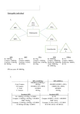 Entregable individual Hecho.pdf