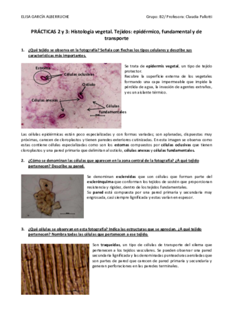 PRACTICA-II-y-III.pdf