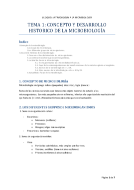 TEMA_01_MICRO_I_RODELAS.pdf