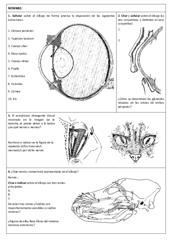 Examen-Anatomia-I-Julio-2018-FINAL.pdf