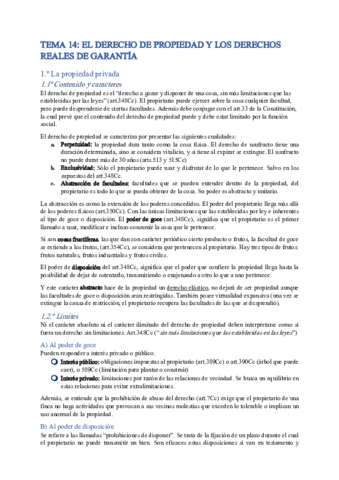 TEMA-14-EL-DERECHO-DE-PROPIEDAD-Y-LOS-DERECHOS-REALES-DE-GARANTIA.pdf