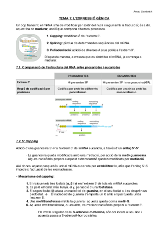 Apunts-Biologia-Molecular-i-Genomica-Tema-7.pdf