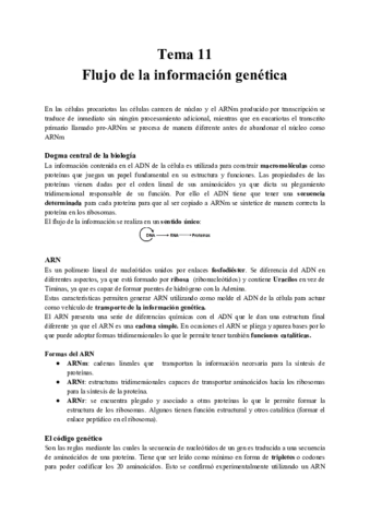 Tema-11-Flujo-de-la-expresion-genica-.pdf