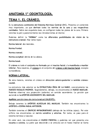 ANATOMIA-PRIMERO.pdf