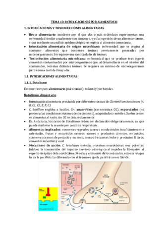 T10.pdf