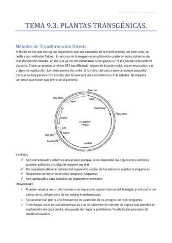 Tema-9.pdf