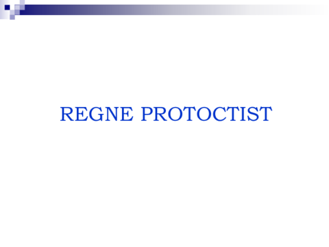 Powerpoint-protoctistes.pdf