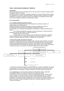 Temas 1-12.pdf