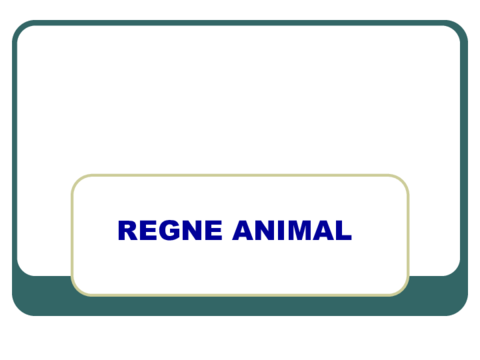 Powerpoint-animals.pdf