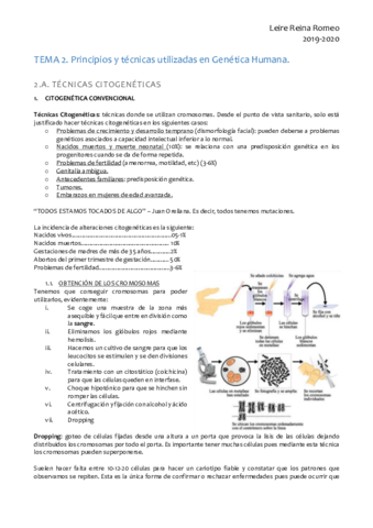 TEMA2.pdf