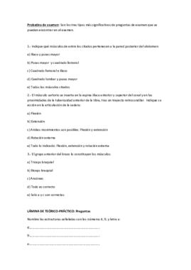 Probatina de examen.pdf
