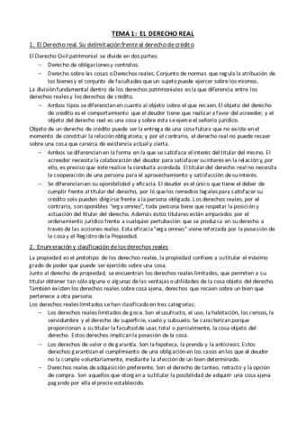 Tema 1 - El Derecho Real.pdf