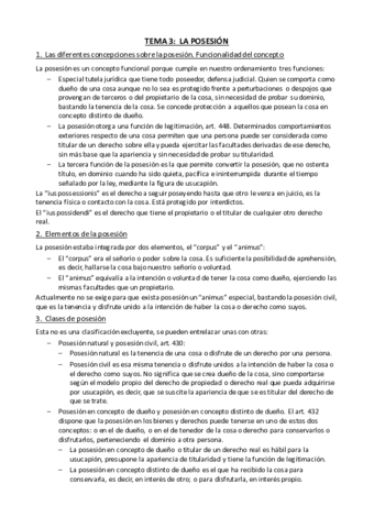 Tema 3 - La posesión.pdf