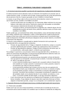 Tema 5 - Apariencia publicidad y adquisición.pdf