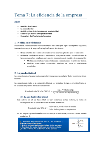 TEMA-7LA-EFICIENCIA-DE-LA-EMPRESA.pdf