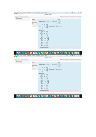 Tipo-Test-Moodle-tema-3.pdf