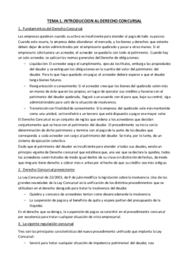 Tema 1 - Introducción al Derecho Concursal.pdf