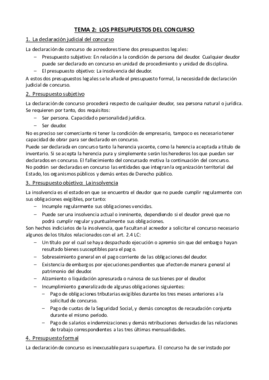 Tema 2 - Presupuestos del concurso.pdf